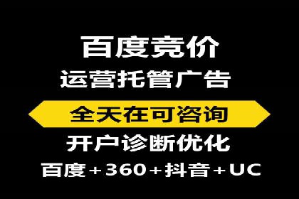 百度竞价赚钱技巧：实战案例分析